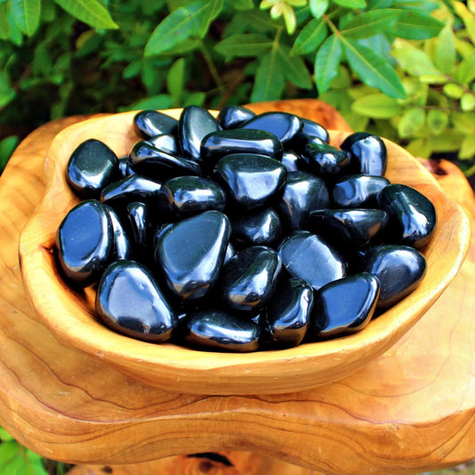 Shungite Tumbled/Polished