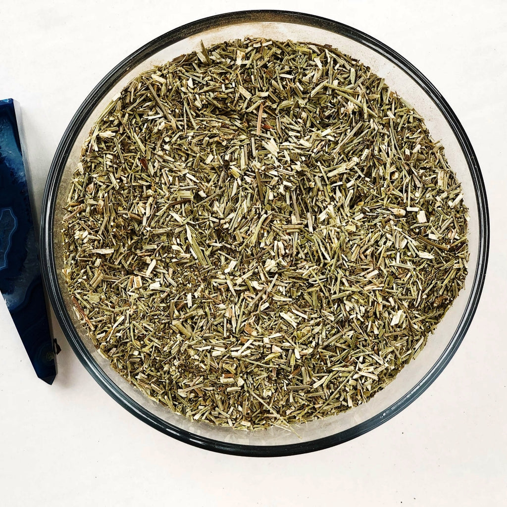 Vervain