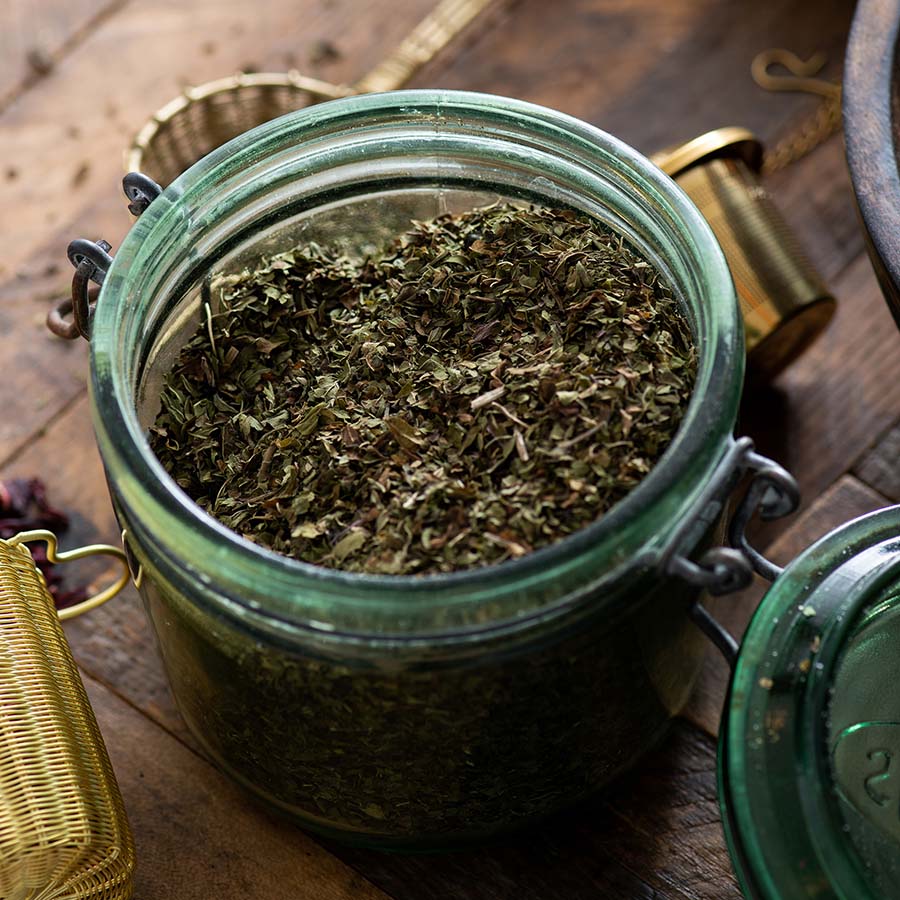 Nettle Leaf