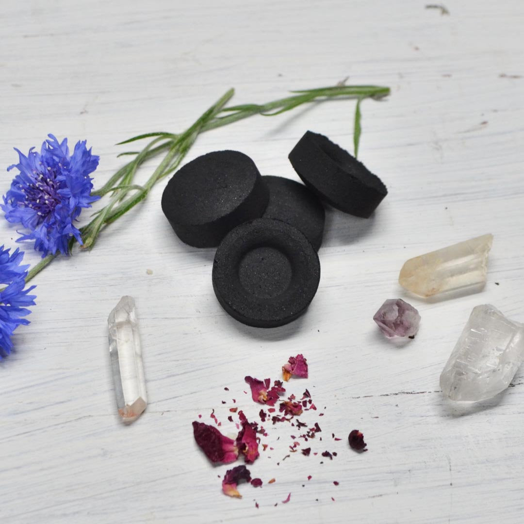 Charcoal Discs - 2 Pack