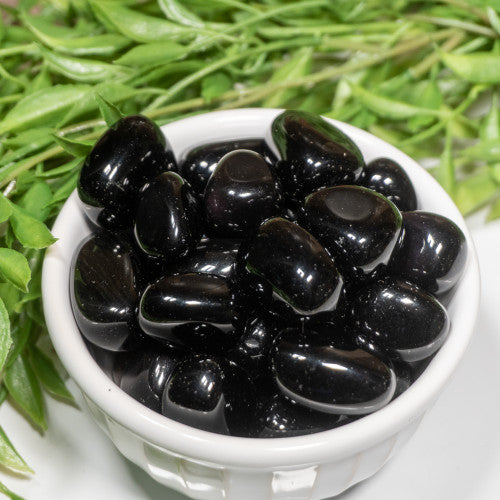 Black Obsidian Tumbled/Polished