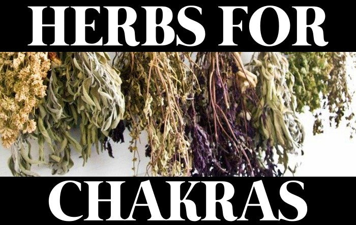Herbs for Chakras