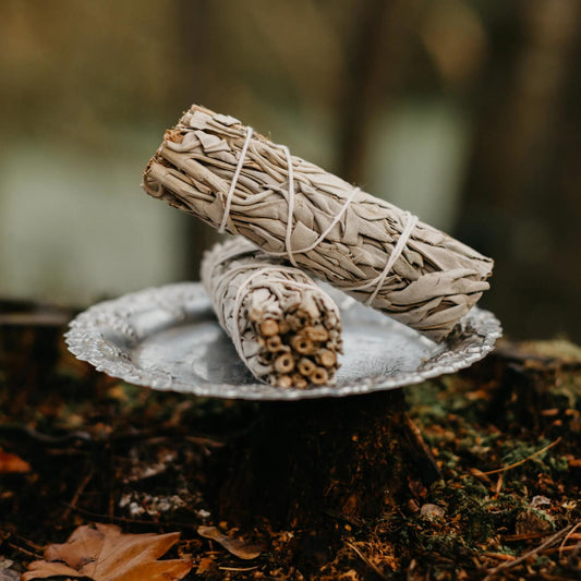 Single White Sage Bundle