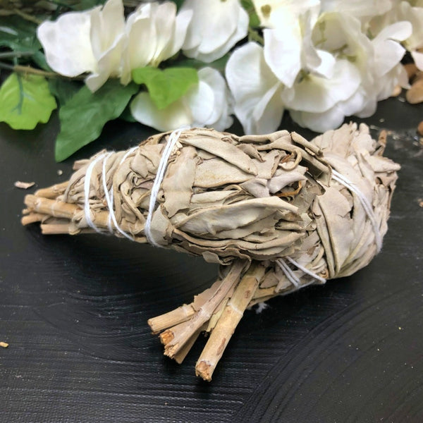 Single White Sage Torch